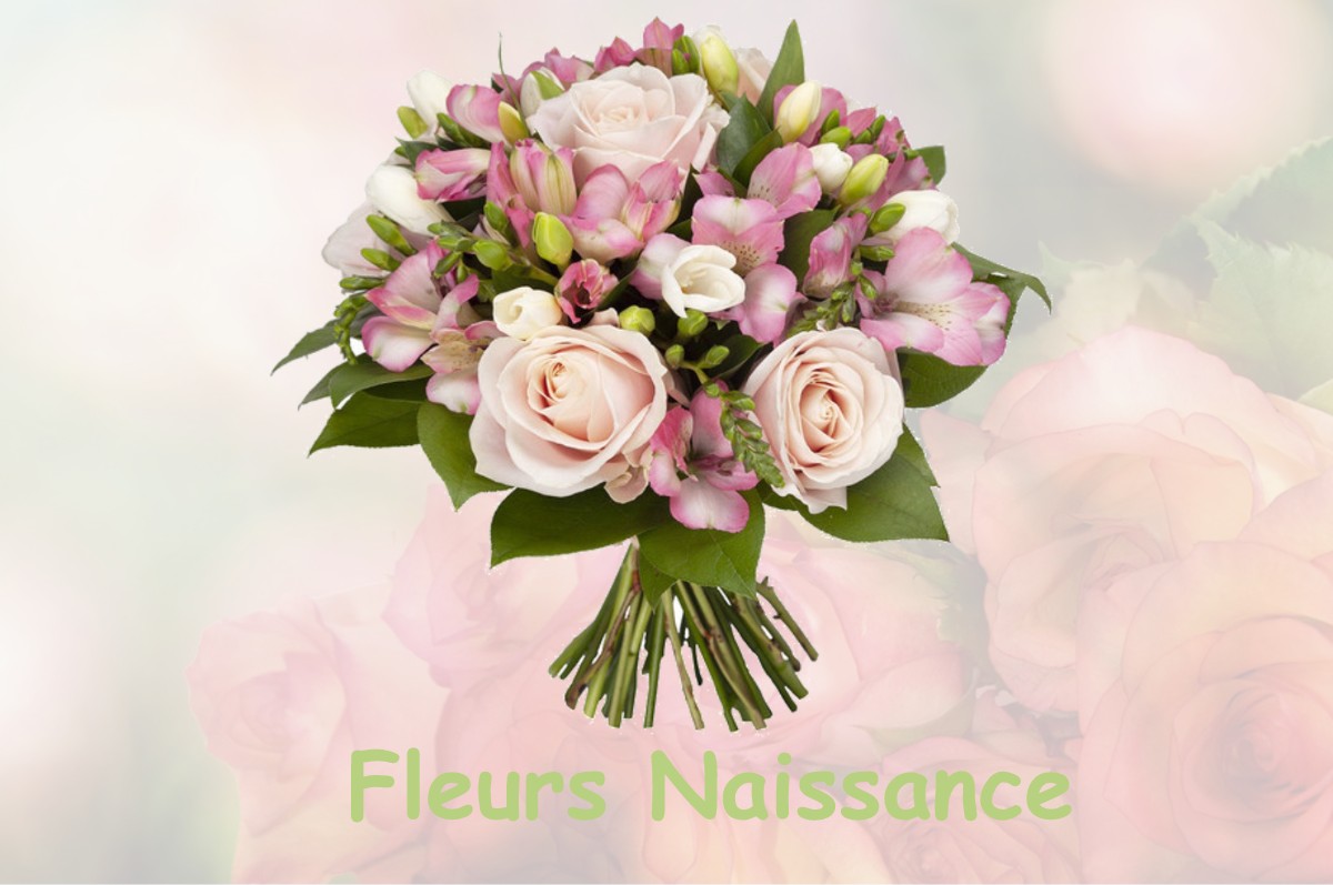 fleurs naissance CAZARIL-TAMBOURES