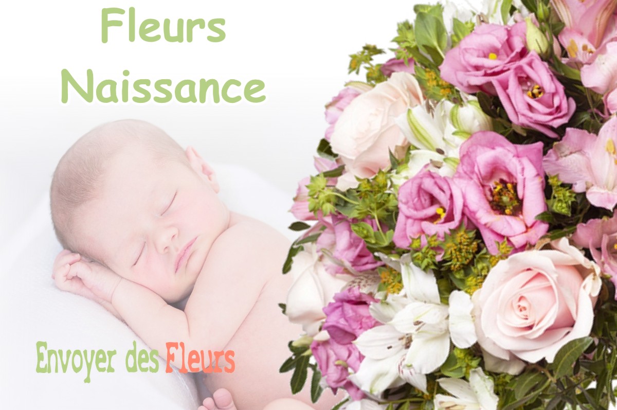 lIVRAISON FLEURS NAISSANCE à CAZARIL-TAMBOURES